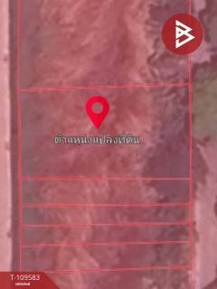 ขายที่ดินเปล่า เนื้อที่ 40 ตร.วา ธัญบุรี ปทุมธานี-202504111136461744346206750.jpg