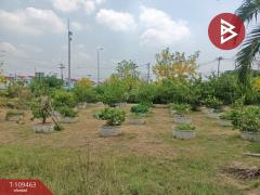 ขายบ้านเดี่ยวพร้อมที่ดิน เนื้อที่ 4 ไร่ 96.2 ตร.วา พล ขอนแก่น-202504111143261744346606895.jpg