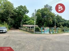 ขายที่ดิน เนื้อที่ 3 งาน 40 ตร.วา หนองสองห้อง ขอนแก่น-202504111414021744355642403.jpg