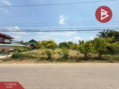 ขายที่ดิน เนื้อที่ 1 งาน ลับแล อุตรดิตถ์-202504111552171744361537913.jpg