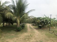 ขายบ้านสวนพร้อมที่ดิน 2 ไร่ วิวธรรมชาติ อ่างหิน ปากท่อ ราชบุรี เหมาะสำหรับอยู่อาศัย พักผ่อน หรือเก็งกำไรในอนาคต ใกล้กรุงเทพ-202504121134311744432471785.jpg