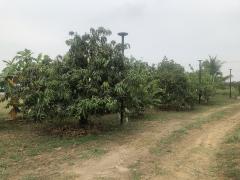 ขายบ้านสวนพร้อมที่ดิน 2 ไร่ วิวธรรมชาติ อ่างหิน ปากท่อ ราชบุรี เหมาะสำหรับอยู่อาศัย พักผ่อน หรือเก็งกำไรในอนาคต ใกล้กรุงเทพ-202504121134331744432473528.jpg
