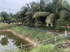 ขายบ้านสวนพร้อมที่ดิน 2 ไร่ วิวธรรมชาติ อ่างหิน ปากท่อ ราชบุรี เหมาะสำหรับอยู่อาศัย พักผ่อน หรือเก็งกำไรในอนาคต ใกล้กรุงเทพ-202504121134341744432474183.jpg