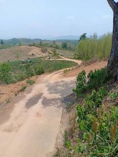 พื้นที่ดิน ที่ดิน ต.ปอน อ.ทุ่งช้าง จ.น่าน  73400000 บ.   บรรยากาศร่มรื่น น่าน   