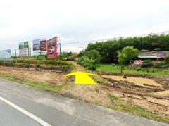 ขาย-ที่ดิน-ติด-ตม.นครศรีธรรมราช-36-ไร่-2