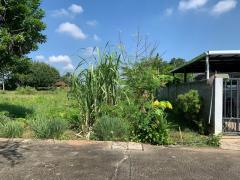 ขายที่ดินหมู่บ้านแม่สารบ้านตอง อำเภอเมืองลำพูน จังหวัดลำพูน เนื้อที่ 68 ตารางวา