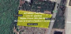พื้นที่ดิน ที่ดิน สามร้อยยอด  5999999 บ.  area 2570 Square Wah ใกล้กับ หาดสามพระยา 4 กม. เปย์หรือเท ติดเขา, ติดถนน และไม่ห่างจากชายทะเล (อากาศดีตลอดปี)