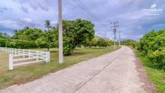 ขายที่ดิน 340 ตร.ว. วิวภูเขา แปลงหัวมุม ต.หนองตาแต้ม อ.ปราณบุรี-202504171124201744863860614.jpg