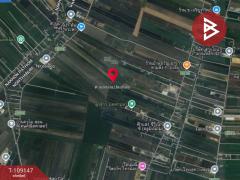 ขายที่ดิน เนื้อที่ 9 ไร่ 2 งาน 76.7 ตร.วา ไทรน้อย นนทบุรี-202504171628061744882086907.jpg