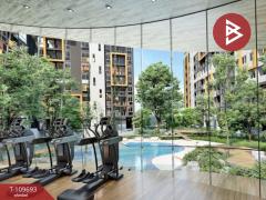 ขายคอนโด แบงค์คอก ฮอไรซอน ไลฟ์ สถานีเพชรเกษม 48 (Bangkok Horizon Lite) กรุงเทพมหานคร-202504171722041744885324284.jpg