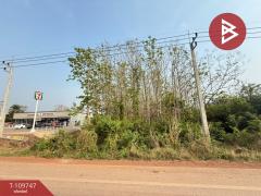 ขายที่ดิน เนื้อที่ 4 ไร่ 1 งาน 51 ตร.วา คุ้งตะเภา อุตรดิตถ์-202504181131511744950711932.jpg