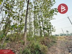 ขายที่ดิน เนื้อที่ 4 ไร่ 1 งาน 51 ตร.วา คุ้งตะเภา อุตรดิตถ์-202504181131551744950715258.jpg