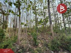 ขายที่ดิน เนื้อที่ 4 ไร่ 1 งาน 51 ตร.วา คุ้งตะเภา อุตรดิตถ์-202504181131591744950719177.jpg