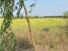 ขายที่ดินเปล่า ซอยสุวินทวงศ์ 47 ผังสีเขียว โครงการไอซ์แลนด์พาร์ค ซอยธรรมรัตน์ #LB52 – 001000-202504181139021744951142618.jpg