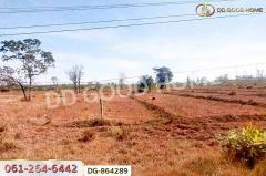 DG-864289 ที่ดินพรรณานิคม 14 ไร่ 196 ตร.ว. สกลนคร ใกล้วัดป่าแสนสุข-202504181157441744952264408.jpg