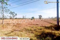 DG-864289 ที่ดินพรรณานิคม 14 ไร่ 196 ตร.ว. สกลนคร ใกล้วัดป่าแสนสุข-202504181157461744952266389.jpg