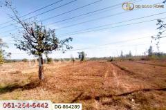 DG-864289 ที่ดินพรรณานิคม 14 ไร่ 196 ตร.ว. สกลนคร ใกล้วัดป่าแสนสุข-202504181157471744952267258.jpg