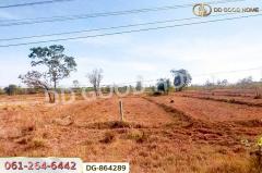 DG-864289 ที่ดินพรรณานิคม 14 ไร่ 196 ตร.ว. สกลนคร ใกล้วัดป่าแสนสุข-202504181157471744952267930.jpg