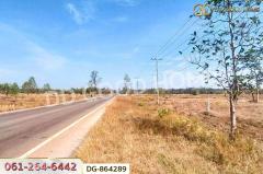 DG-864289 ที่ดินพรรณานิคม 14 ไร่ 196 ตร.ว. สกลนคร ใกล้วัดป่าแสนสุข-202504181157481744952268599.jpg
