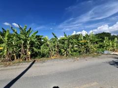 ขาย ที่ดิน แปลงสวยซอยเลียบคลองโยง 1 งาน 29 ตร.วา ติดถนนเชื่อมเลียบคลองโยงกับประชาอุทิศ เหมาะสำหรับปลูกบ้าน-สร้างโกดัง-ออฟฟิศ-202504181514561744964096838.jpg