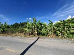 ขาย ที่ดิน แปลงสวยซอยเลียบคลองโยง 1 งาน 29 ตร.วา ติดถนนเชื่อมเลียบคลองโยงกับประชาอุทิศ เหมาะสำหรับปลูกบ้าน-สร้างโกดัง-ออฟฟิศ-202504181514571744964097470.jpg