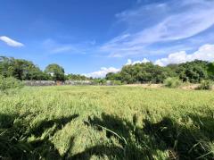 ขาย ที่ดิน แปลงสวยซอยเลียบคลองโยง 1 งาน 29 ตร.วา ติดถนนเชื่อมเลียบคลองโยงกับประชาอุทิศ เหมาะสำหรับปลูกบ้าน-สร้างโกดัง-ออฟฟิศ-202504181514581744964098762.jpg