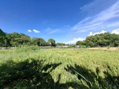 ขาย ที่ดิน แปลงสวยซอยเลียบคลองโยง 1 งาน 29 ตร.วา ติดถนนเชื่อมเลียบคลองโยงกับประชาอุทิศ เหมาะสำหรับปลูกบ้าน-สร้างโกดัง-ออฟฟิศ-202504181514591744964099398.jpg