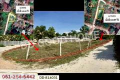 DD-814031 ที่ดินชมพู 187 ตร.ว. ลำปาง ใกล้การไฟฟ้าส่วนภูมิภาคจังหวัดลำปาง-202504181623081744968188756.jpg