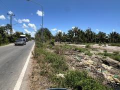 ขายที่ดินจำนวน 3 ไร่ ทำเลดีมากๆ มีถนนผ่านหลายสาย ติดคลองชลประทาน-202504181708171744970897347.jpg