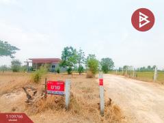 ขายบ้านเดี่ยวพร้อมที่ดิน เนื้อที่ 2 ไร่ เลาขวัญ กาญจนบุรี-202504191342401745044960226.jpg