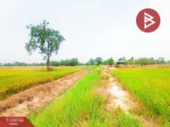 ขายบ้านเดี่ยวพร้อมที่ดิน เนื้อที่ 2 ไร่ เลาขวัญ กาญจนบุรี-202504191342471745044967809.jpg
