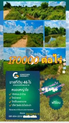 ขายที่ดินอำเภอหนองหญ้าไซ จังหวัดสุพรรณบุรี เนื้อที่ 46 ไร่ 1 งาน 64 ตารางวา