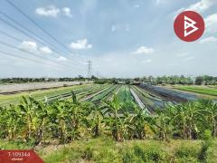 ขายบ้านแฝด หมู่บ้านศุภาลัย โมด้า ปิ่นเกล้า-พุทธมณฑลสาย 3 นนทบุรี-202504191438451745048325161.jpg