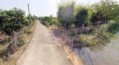 ขายที่ดิน ติดแม่น้ำท่าจีน อ.เดิมบางนางบวช เป็นที่สวน-202504191528231745051303362.jpg