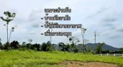 ขายที่ดิน 1 ไร่ ในโครงการ กระท่อมปัญปัน มีแบ่งแปลงขายติดกันอีก 2 แปลง-202504191549571745052597056.jpg