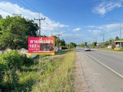 ขายขาดทุนที่ดินเชียงราย ติดทางหลวงแผ่นดินสายบ้านศรีเวียง-บ้านเหล่า-บ้านแม่เลียบ (1173)