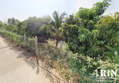 ขายที่ดิน ติดแม่น้ำท่าจีน สถรพรรณบุรี จีน อ.เดิมบางนางบวช เป็นที่สวน