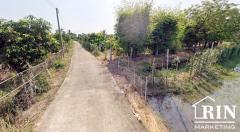 ขายที่ดิน ติดแม่น้ำท่าจีน สถรพรรณบุรี จีน อ.เดิมบางนางบวช เป็นที่สวน-202504201006061745118366750.jpg