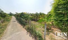 ขายที่ดิน ติดแม่น้ำท่าจีน สถรพรรณบุรี จีน อ.เดิมบางนางบวช เป็นที่สวน-202504201006071745118367364.jpg