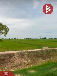ขายที่ดิน-เนื้อที่-14-ไร่-22-ตร.วา-เมือง