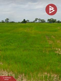 ขายที่ดิน เนื้อที่ 14 ไร่ 22 ตร.วา เมืองยาง นครราชสีมา-202504201028341745119714497.jpg