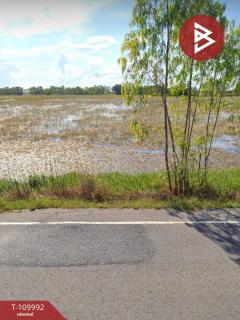 ขายที่ดิน-เนื้อที่-11-ไร่-73-ตร.วา-เมือง