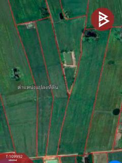 ขายที่ดิน เนื้อที่ 11 ไร่ 73 ตร.วา เมืองยาง นครราชสีมา-202504201038231745120303564.jpg