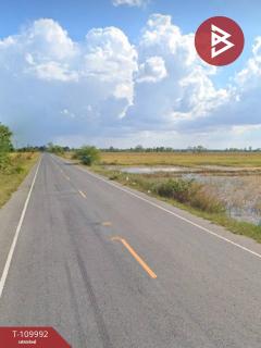 ขายที่ดิน เนื้อที่ 11 ไร่ 73 ตร.วา เมืองยาง นครราชสีมา-202504201038241745120304242.jpg