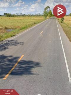 ขายที่ดิน เนื้อที่ 11 ไร่ 73 ตร.วา เมืองยาง นครราชสีมา-202504201038241745120304919.jpg