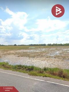 ขายที่ดิน เนื้อที่ 11 ไร่ 73 ตร.วา เมืองยาง นครราชสีมา-202504201038261745120306274.jpg