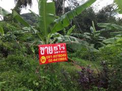 ที่ดินเกาะยอ สงขลา 3 แปลงติดกันรวม 5 ไร่ 367.6 ตร.วา