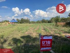 ขายที่ดิน เนื้อที่ 11 ไร่ 1 งาน 73.3 ตร.วา นครไทย พิษณุโลก