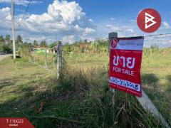 ขายที่ดิน เนื้อที่ 11 ไร่ 1 งาน 73.3 ตร.วา นครไทย พิษณุโลก-202504201102161745121736371.jpg