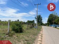 ขายที่ดิน เนื้อที่ 11 ไร่ 1 งาน 73.3 ตร.วา นครไทย พิษณุโลก-202504201102201745121740727.jpg